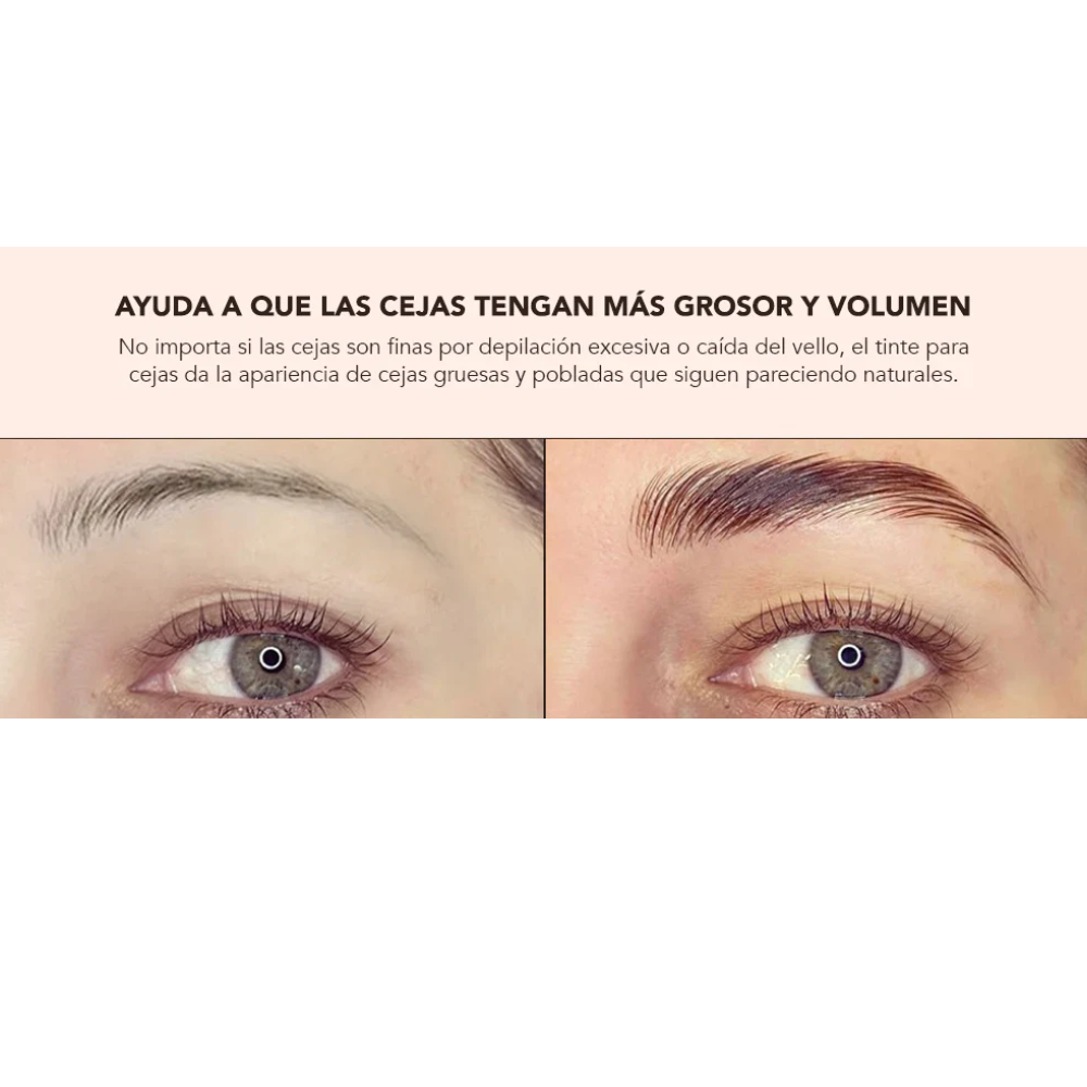 Tinte para cejas y pestañas Didier Lab 15 ml