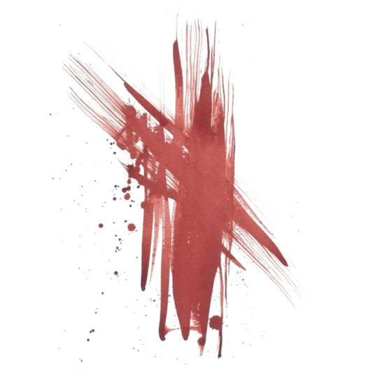 Cocoa Beans 5ml Brovi