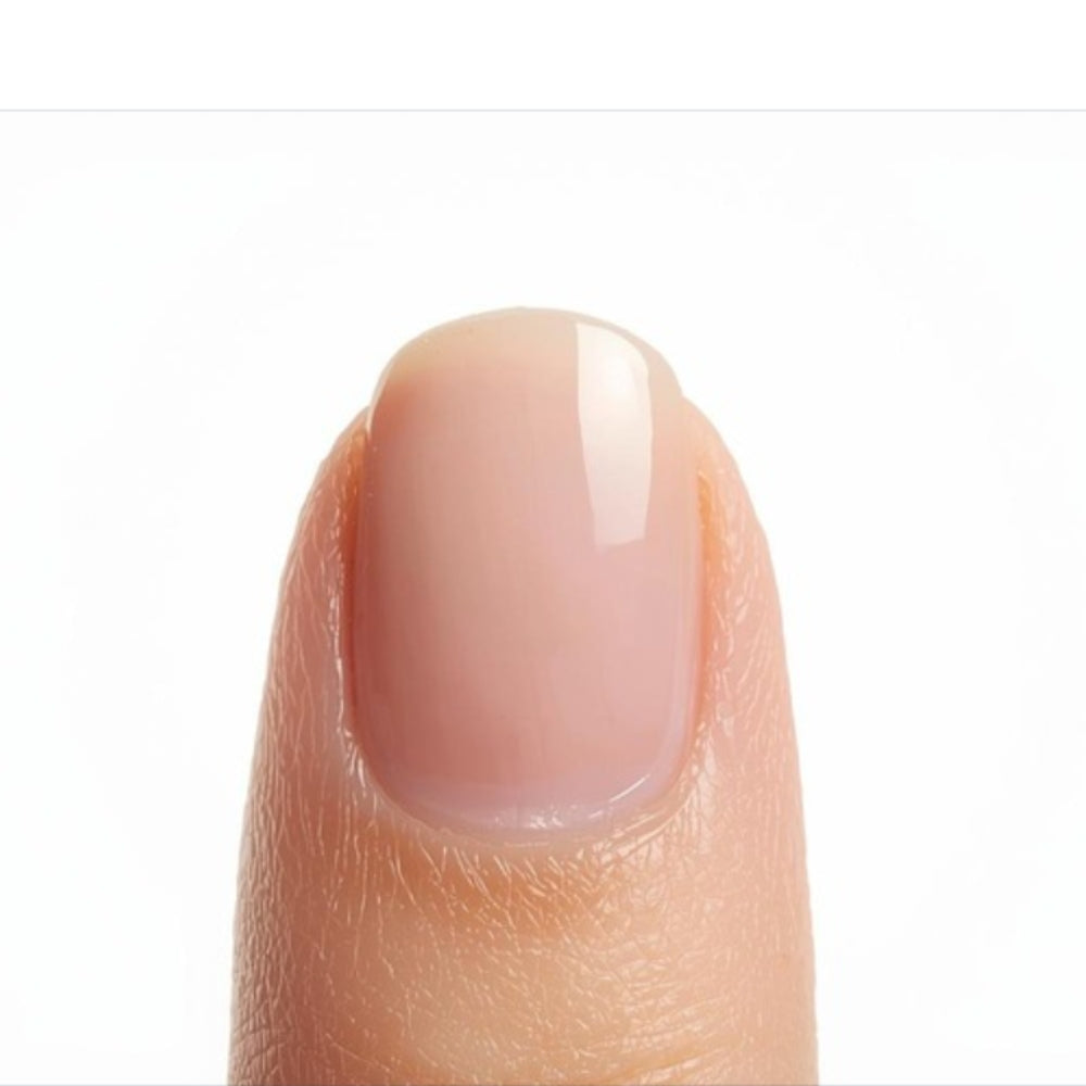 Muestrario 50 uñas