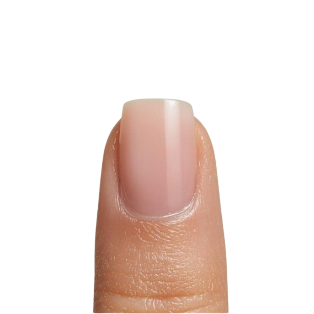 Muestrario 50 uñas