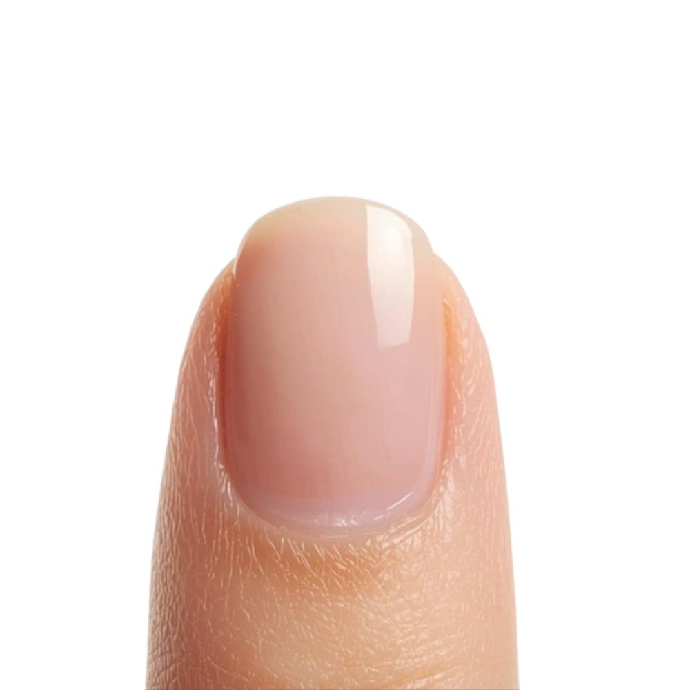 Muestrario 50 uñas