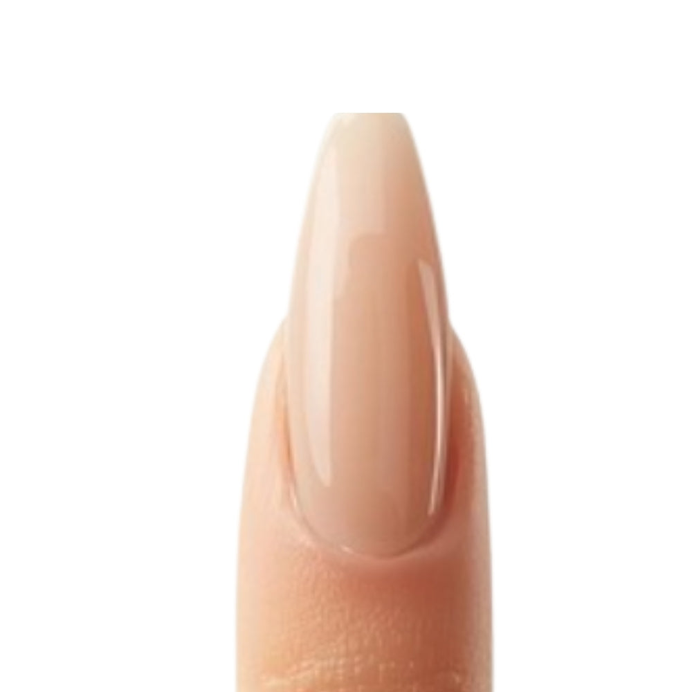 Muestrario 50 uñas