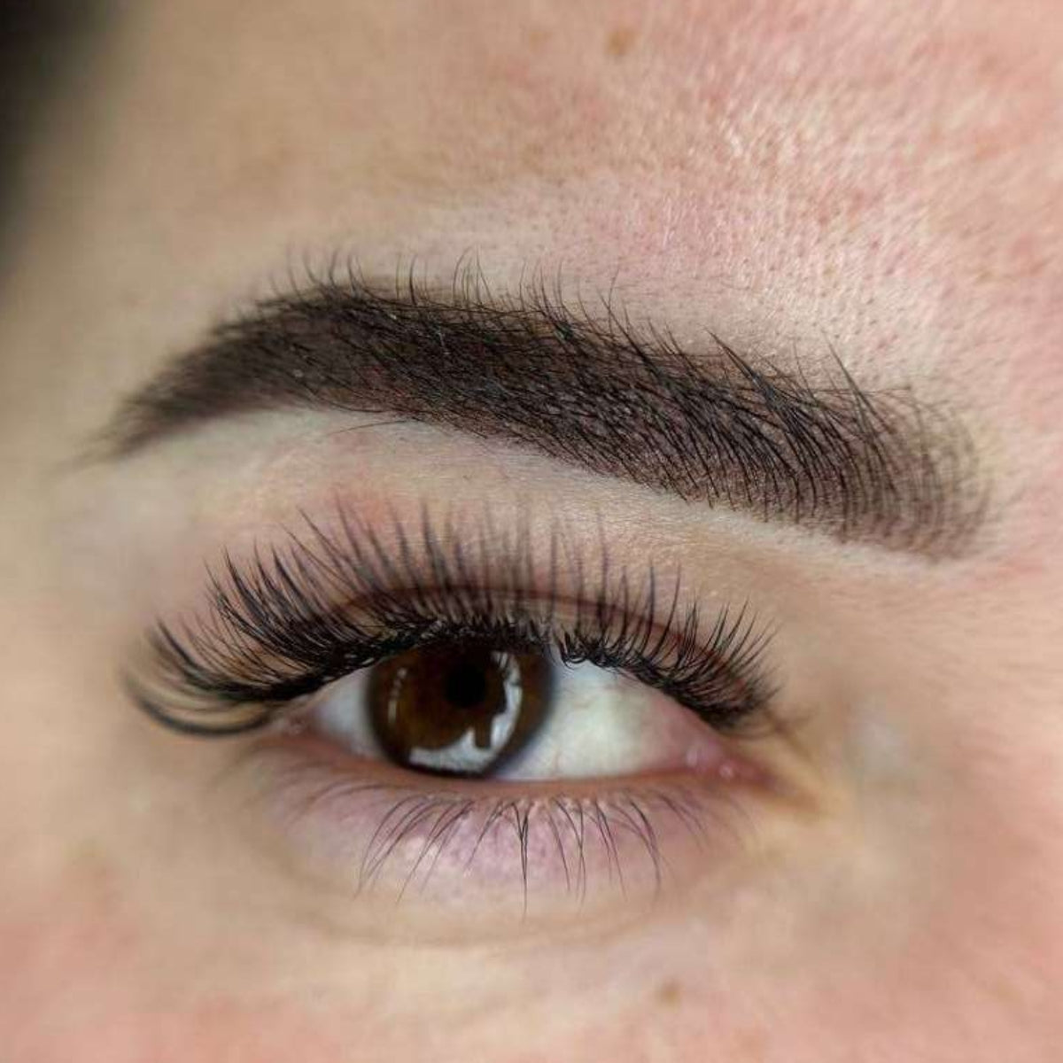 Warm Dark Brown línea mineral 5ml Brovi