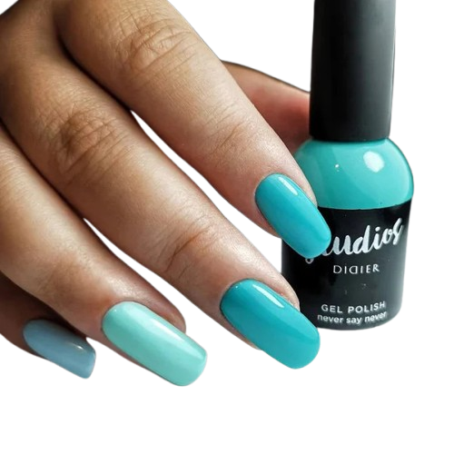 NEVER SAY NEVER esmalte semipermanente Studios Didier 8ml.