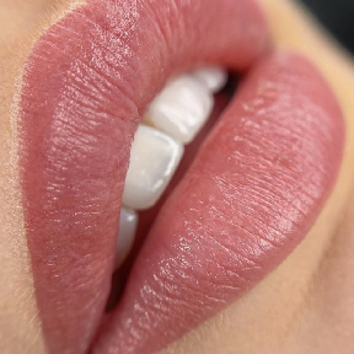 PIGMENTOS PARA LABIOS